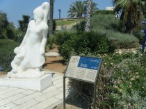 שלט מידע - יפו העתיקה