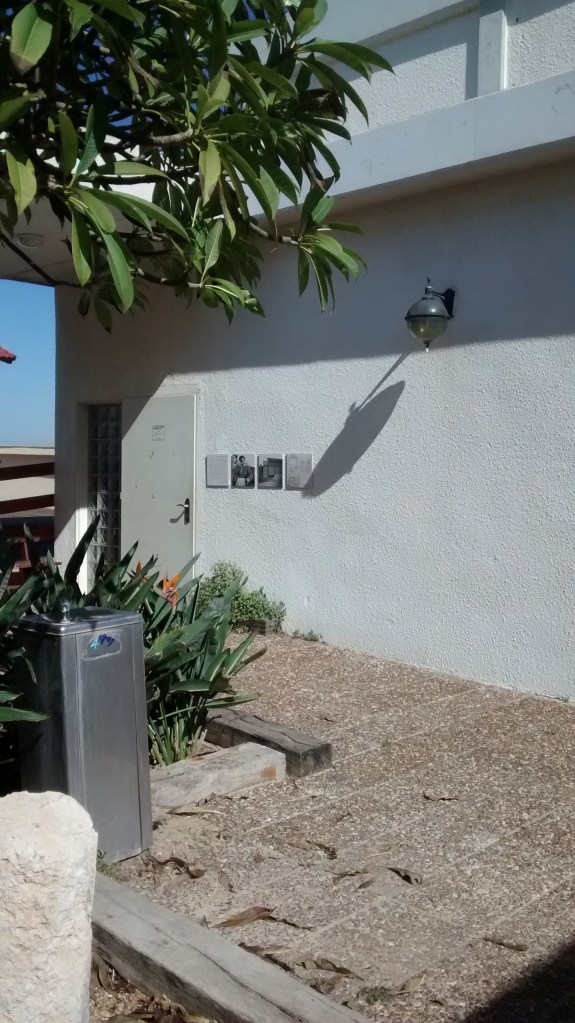 IMG_20141109_114324603