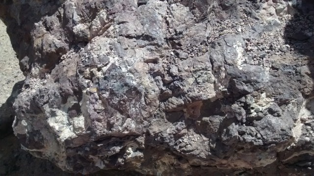 IMG_20150604_102131014