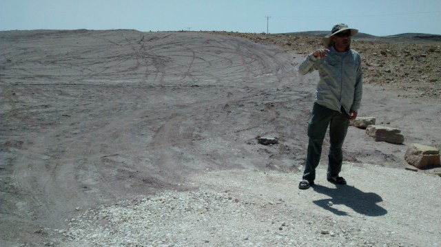 IMG_20150604_102927049