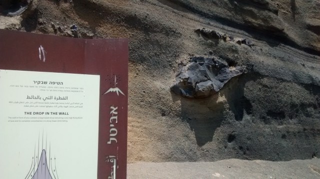 IMG_20150626_125741090