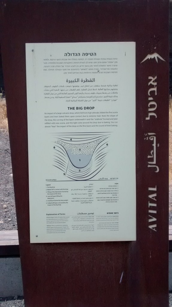 IMG_20150626_131045808