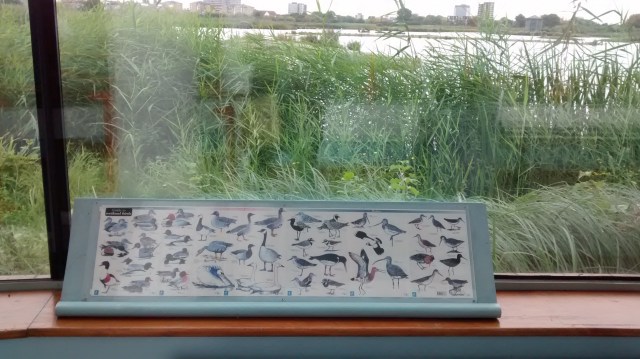 IMG_20150913_102710937