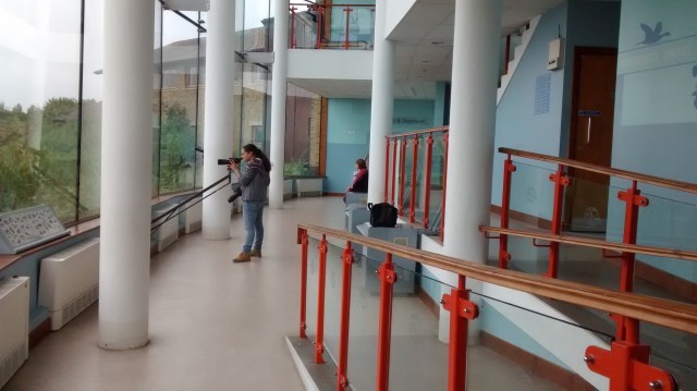 IMG_20150913_102740256