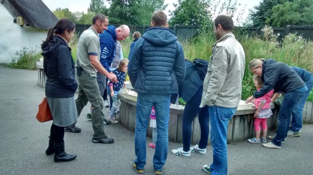 IMG_20150913_103748585_HDR