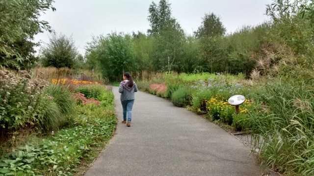 IMG_20150913_104014577_HDR