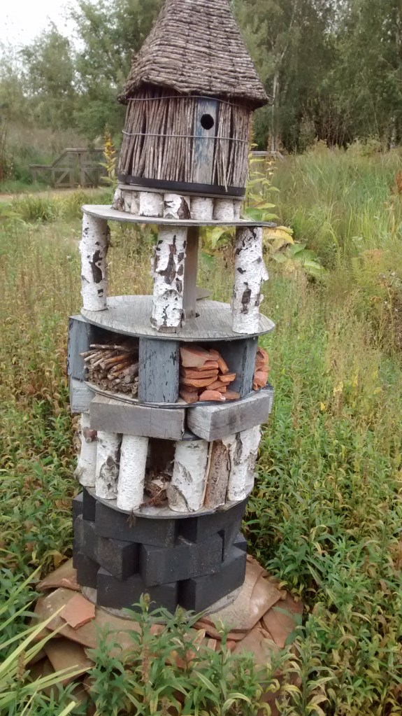 IMG_20150913_104123373