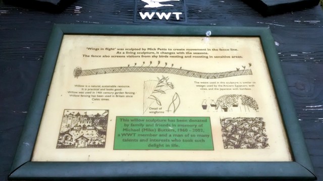 IMG_20150913_114457197