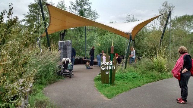 IMG_20150913_114956728_HDR