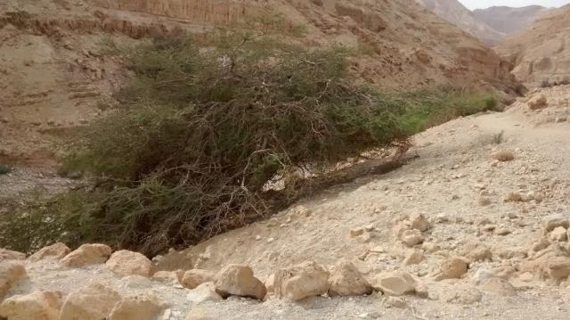 62def5e8-888a-4854-a39e-3e3f4cb54dcf