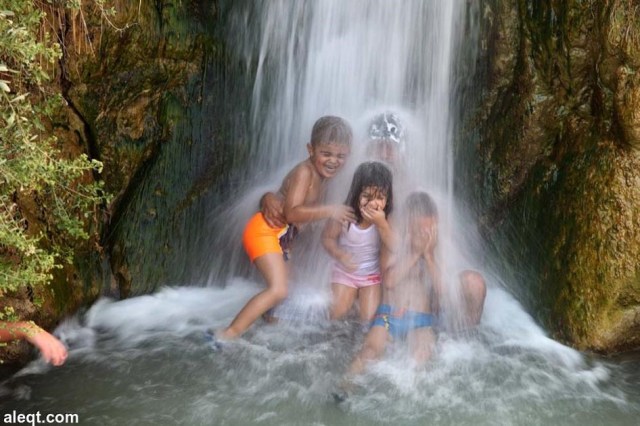 משפחה בעין גדי