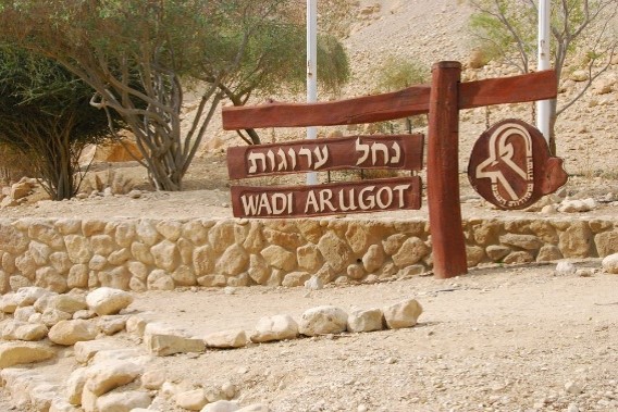 שלט היסטורי ערוגות