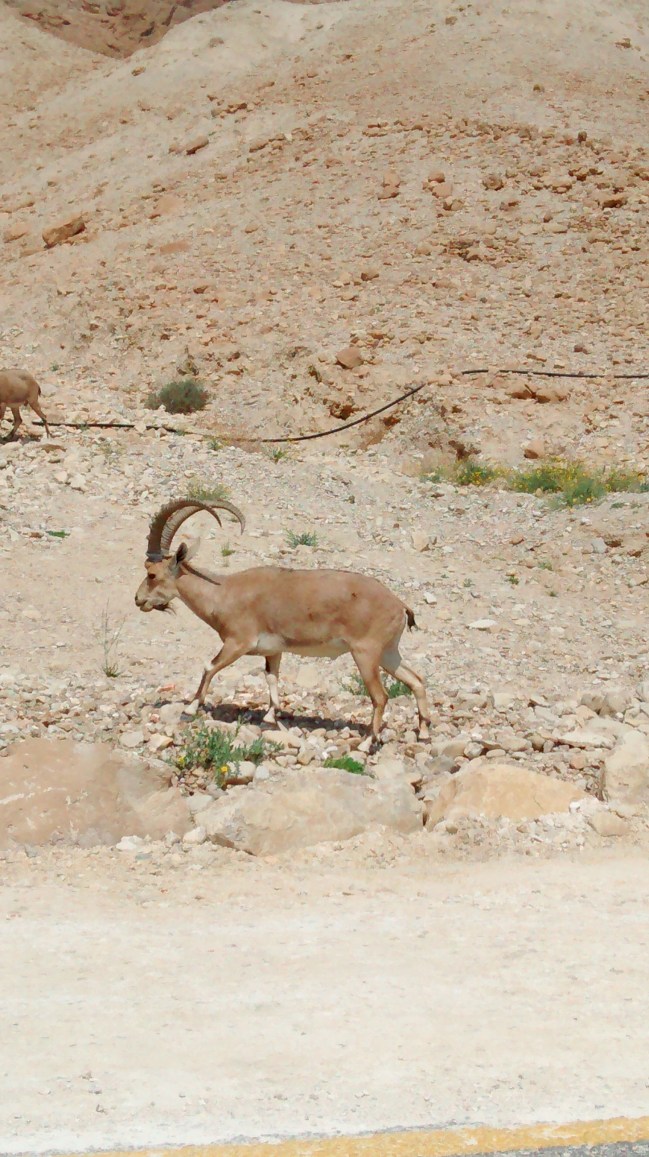 IMG_20160322_104218162