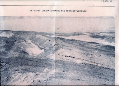 %d7%aa%d7%a0%d7%95%d7%a8-1