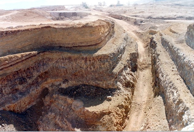 %d7%aa%d7%a0%d7%95%d7%a8-4