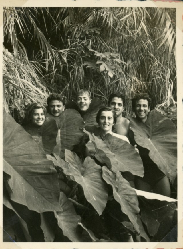 קולקס הקדמונים